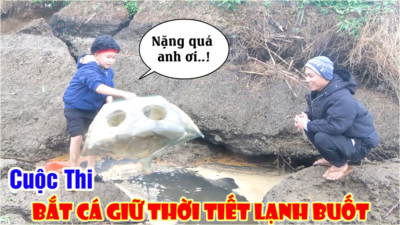 Cuộc Thi Bắt Cá Ngoài Suối Giữa Thời Tiết Lạnh Buốt - Mao Đệ Thể Hiện Đẳng Cấp Bắt cá Và Cái Kết