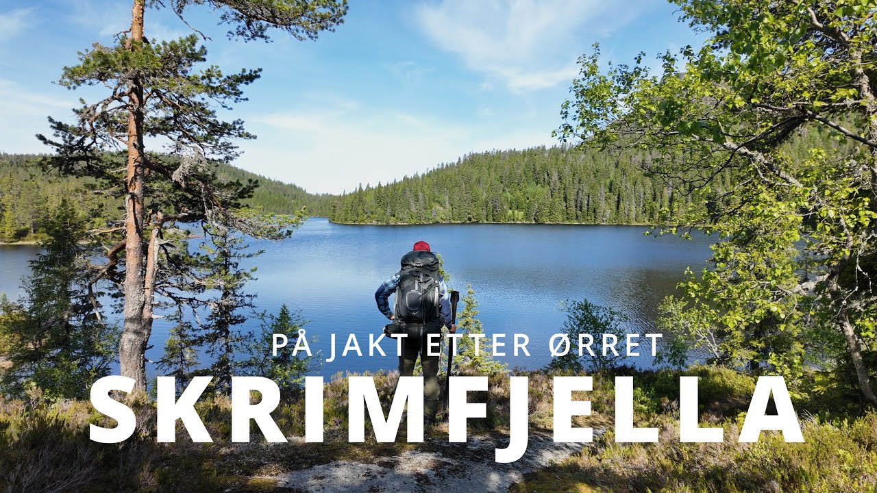 Skrimfjella - På jakt etter ørret