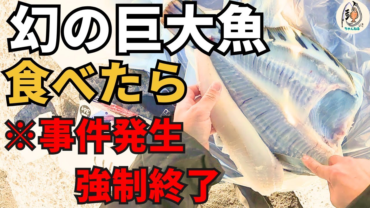 【悲報】幻の高級魚を釣って食べる最高の一人旅が一変...想定外の事件で即終了となりました。
