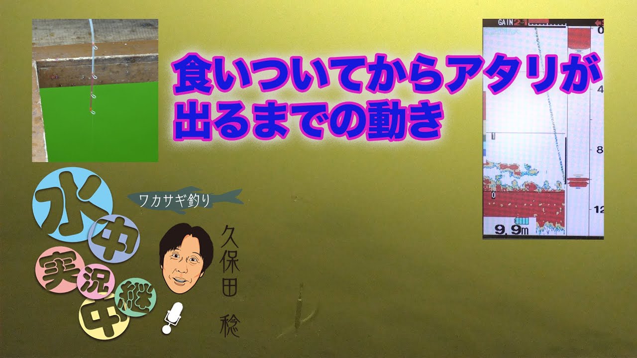 食いついてからアタリが出るまでの動き 久保田稔 ワカサギ水中実況中継