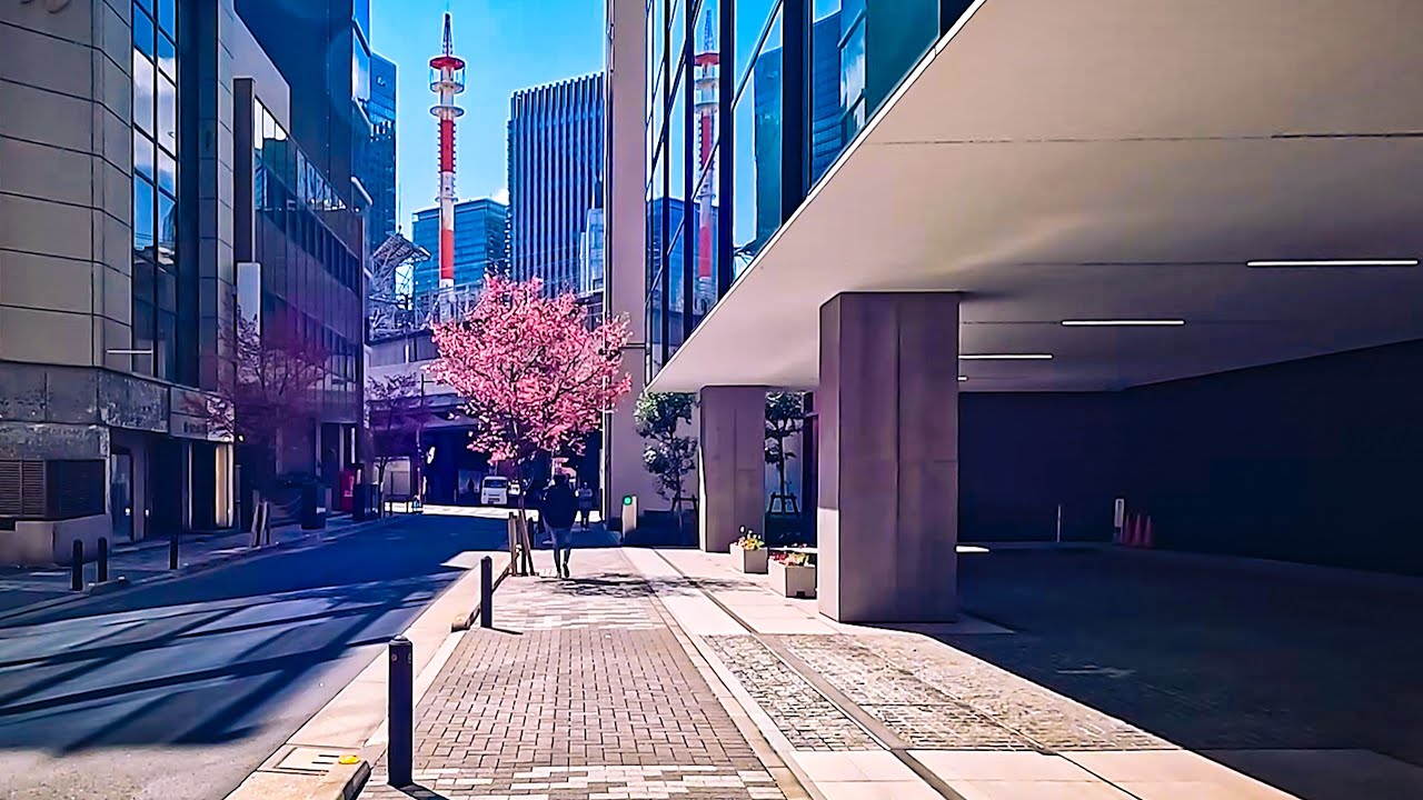 Experience the Magic of Tokyo in Bloom: A 3-Hour Sakura Walking Journey