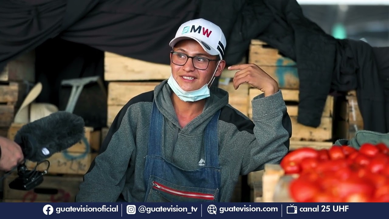REPORTAJE | Hermandad del tomate: un día en el CENMA 