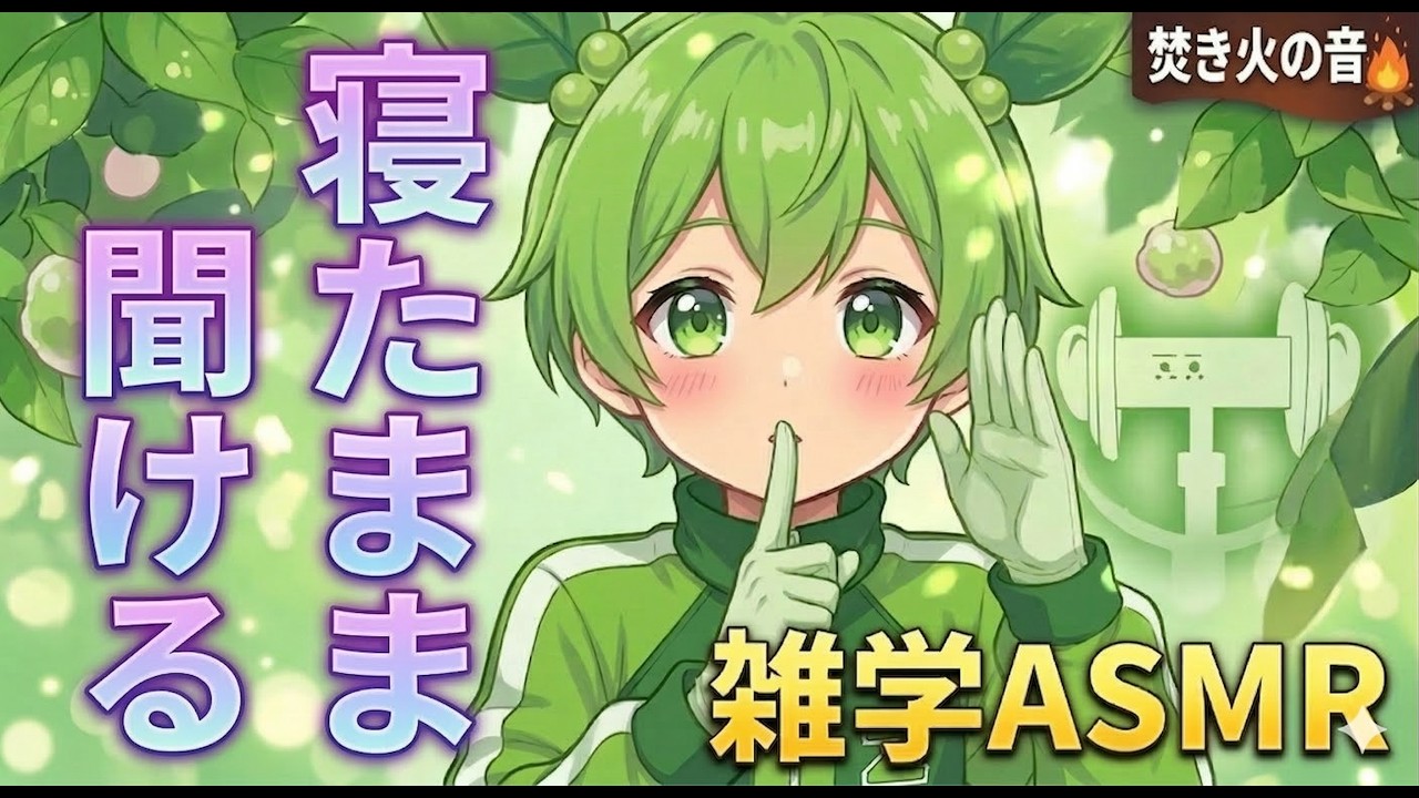 【ASMR】圧倒的寝落ち...! ささやき雑学を聞きながら、ずんだもんと一緒に寝よう 【音フェチ】【没入感】