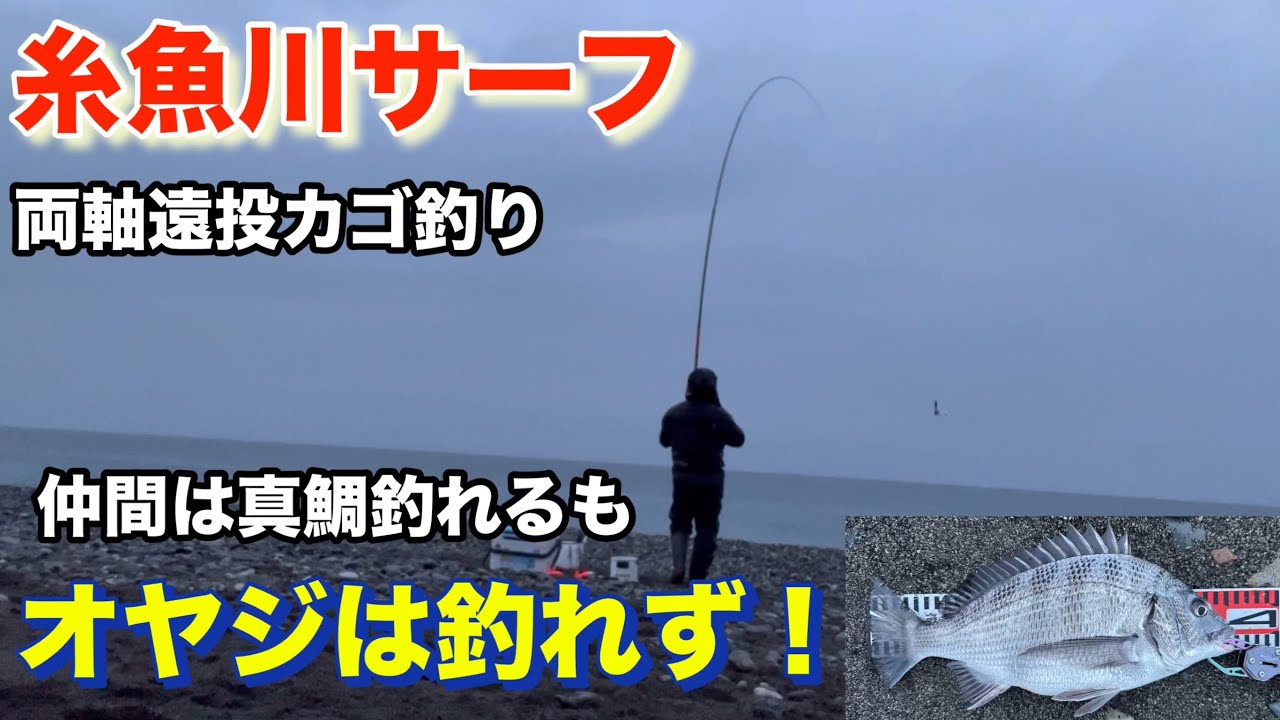 【糸魚川サーフ】両軸遠投カゴ釣り、仲間は真鯛が釣れるもオヤジは釣れず！