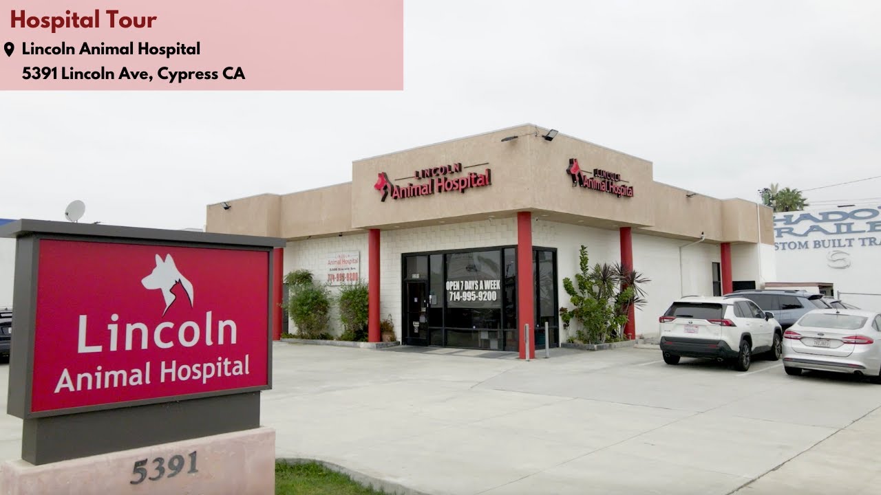 Lincoln Animal Hospital Tour