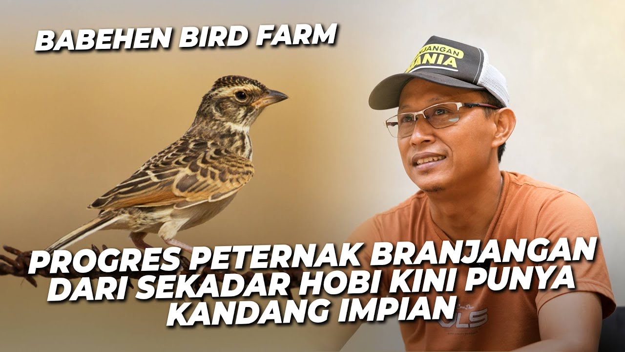 Babehen BF : Dulu Cuma Penikmat, Sekarang Peternak! Upgrade Kandang Baru buat Branjangan Kesayangan