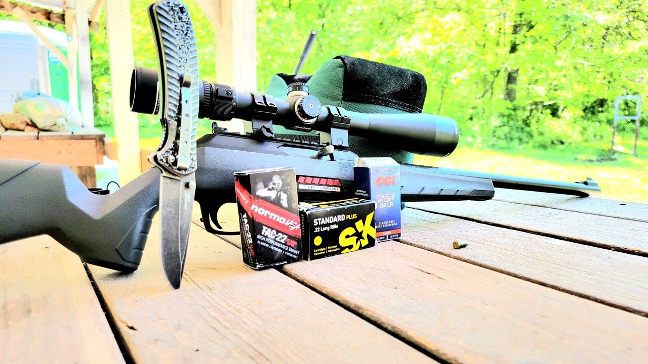 winchester wildcat scoped