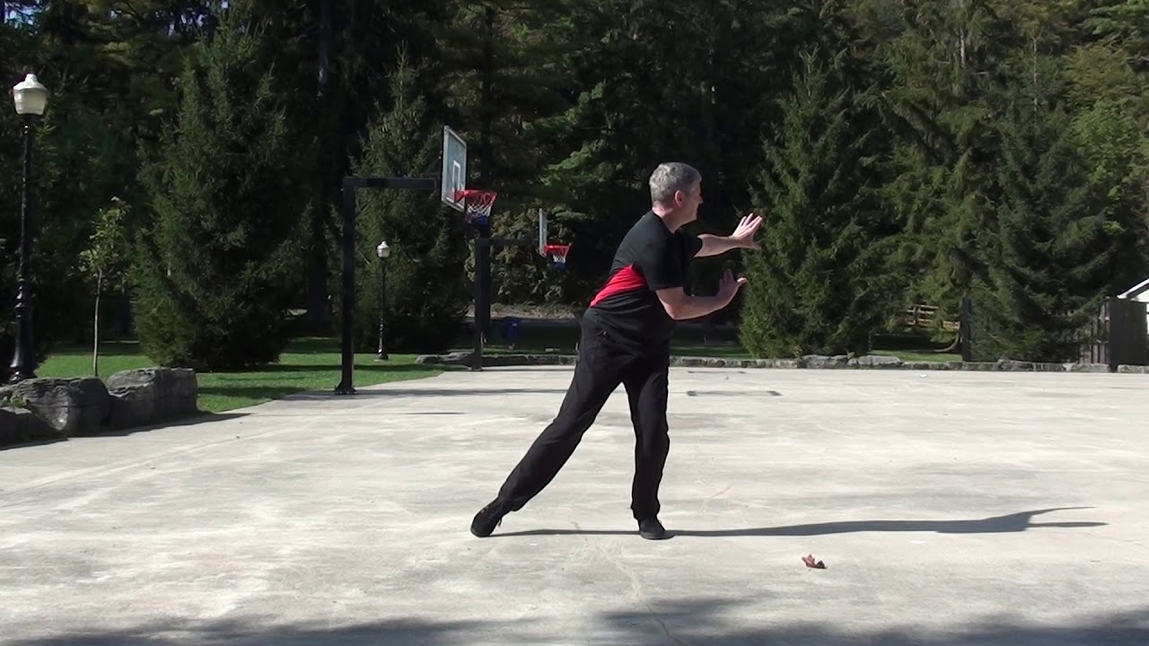 Tai Chi Moy Lin Shin style