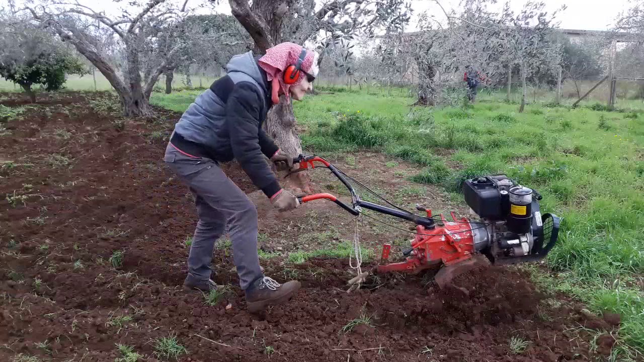 Panarama de duminica- Tata Vasilica cu motosapa