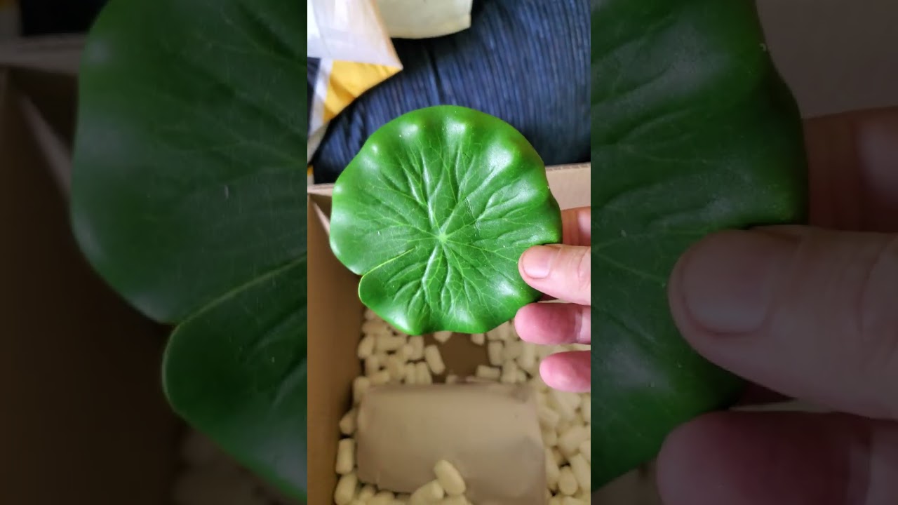 Nature gift store unboxing  (2024) #shorts