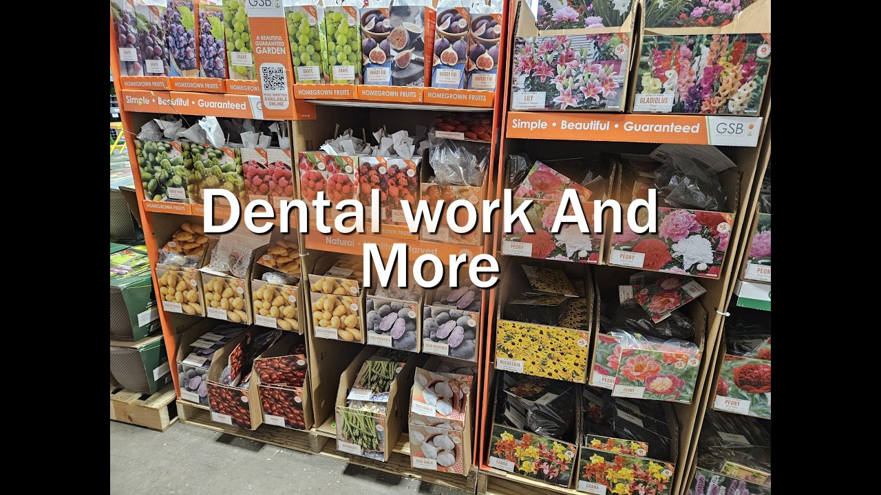 Dental work and more
