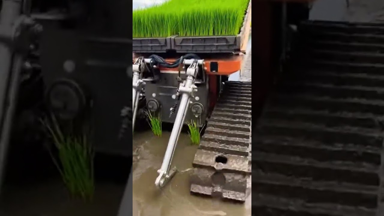 Smart Legume Pods Harvester Robot &mdash; Precision Farming Revolution #Agritech #SmartFarming #Innovation