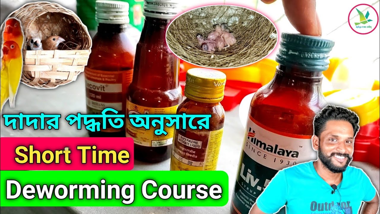 How To Use Deworming Medicine For Exotic Birds||Short Time Deworming Course||KUILA For EVER