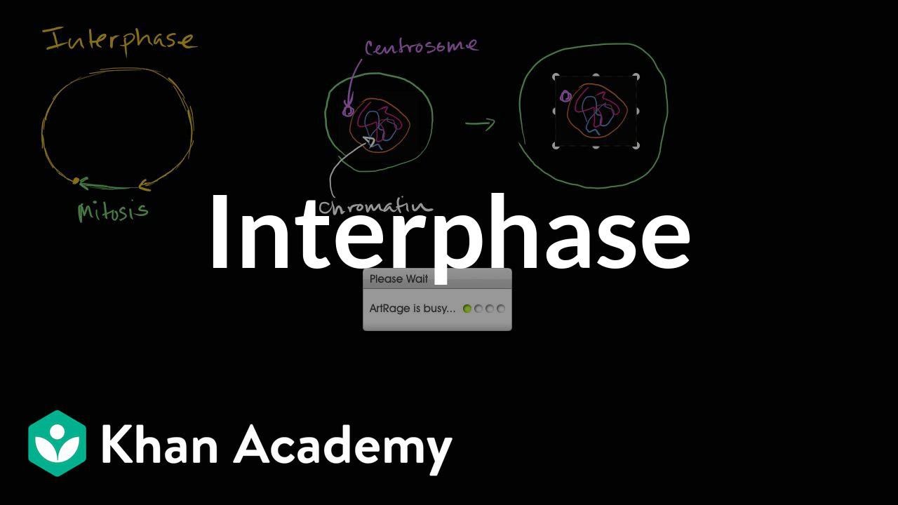 Interfaza | Kom&oacute;rki | MCAT | Khan Academy