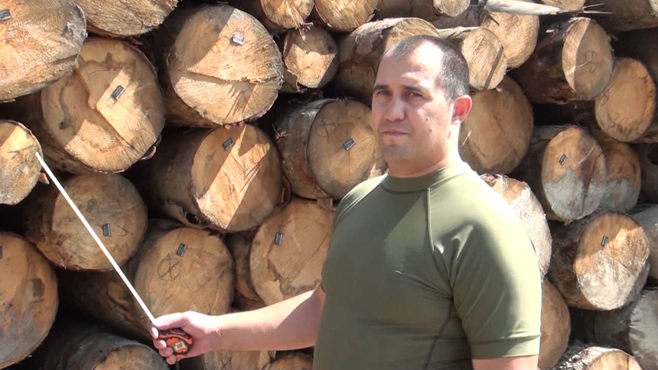 Правоохоронці провели обшук на одній з приватних пилорам села Верхні Петрівці Сторожинецького району