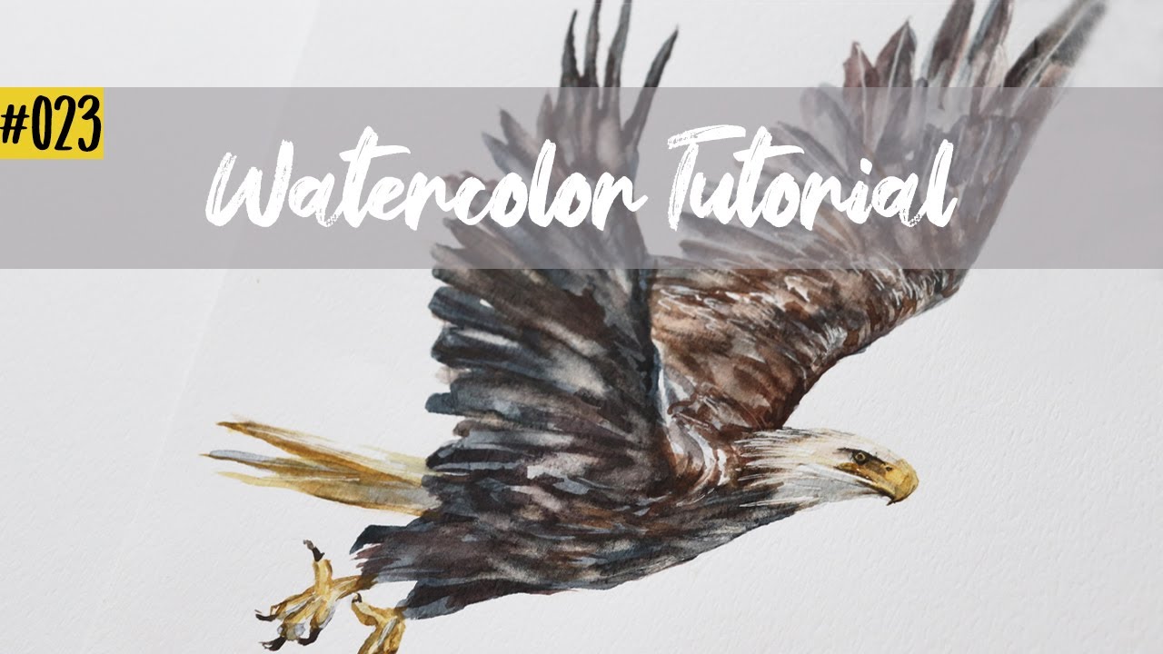 Learn How to Paint an Eagle with Watercolor under 10 minutes / Art Tutorial #23