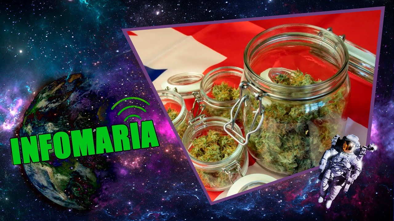 INFOMARIA: DISPENSEROO la web de REPARTO de CANNABIS en UK
