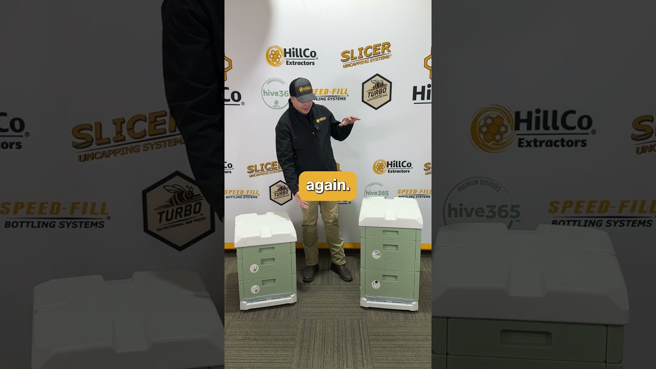 Hive365 V2 уже здесь! 🐝🔥