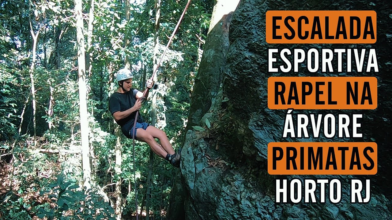 ESCALADA ESPORTIVA E RAPEL NA ÁRVORE NOS PRIMATAS - HORTO RJ