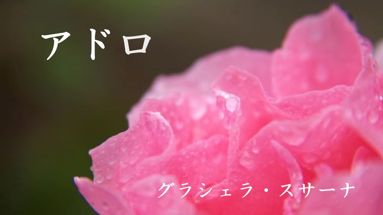 アドロ 　グラシェラ・スサーナ