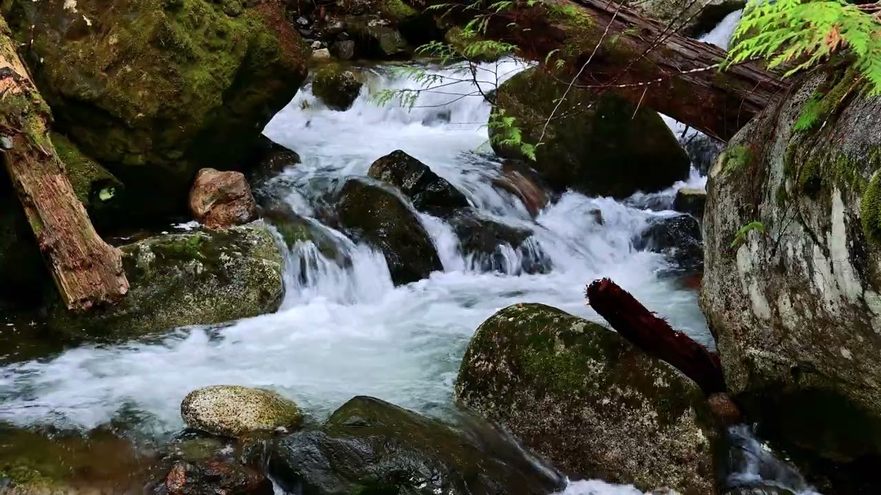 Streams