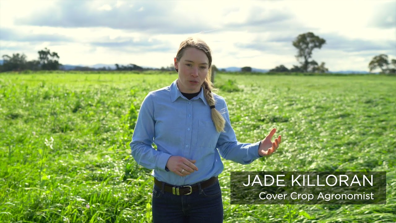 Multi Species Pasture Demonstration Project