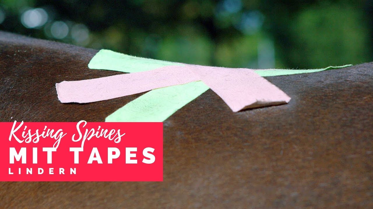 Kissing Spines beim Pferd mit Kinesio Tapes behandeln