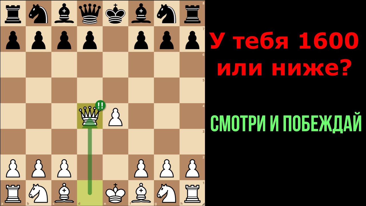 Центральный дебют для любителей и чемпионов