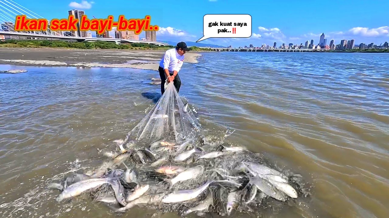 Tak Tanggung-tanggung sekali angkat satu karung..😱 menjala ikan di sini bikin ketagihan..‼️