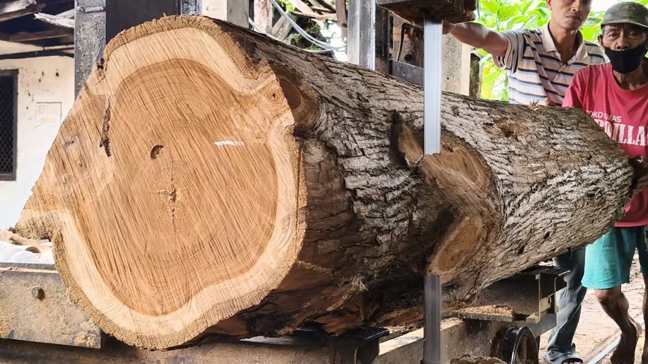 Extreme Large Sawmill | 70 year old grandfather is cutting logs which displays the beauty 