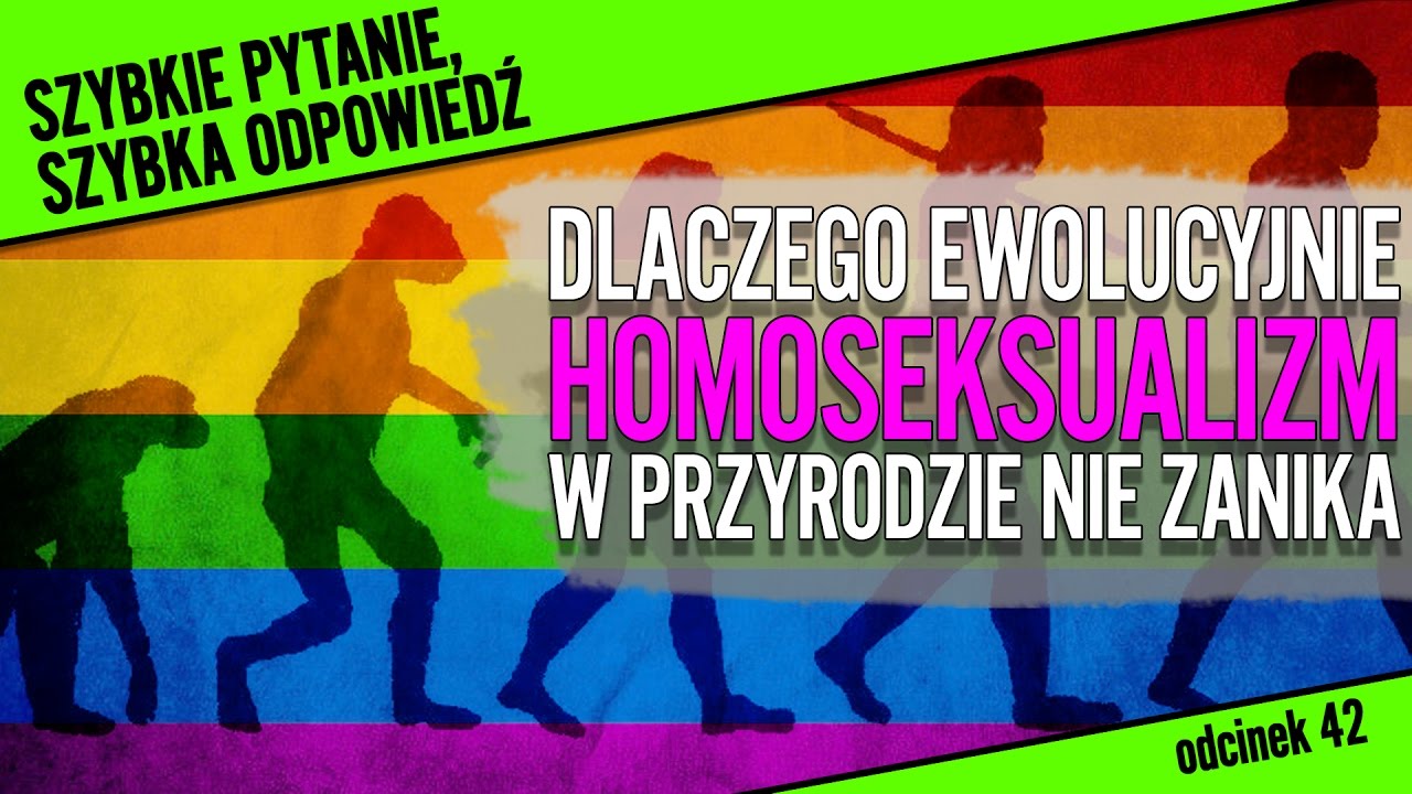 Dlaczego homoseksualizm ewolucyjnie nie zanika? | SPSO #42