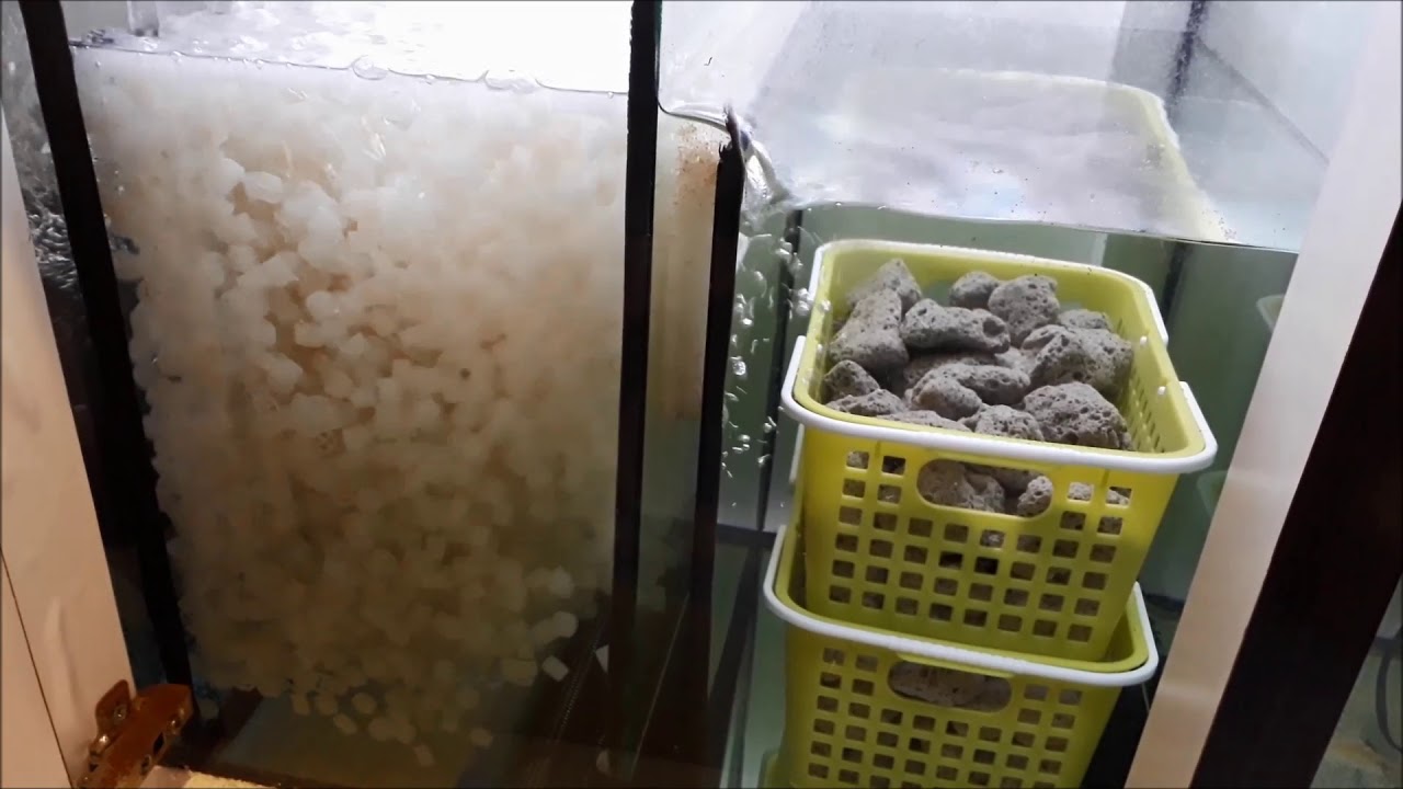 How To Cheap and Easy Setup Sump Filter Using K1 Kaldnes