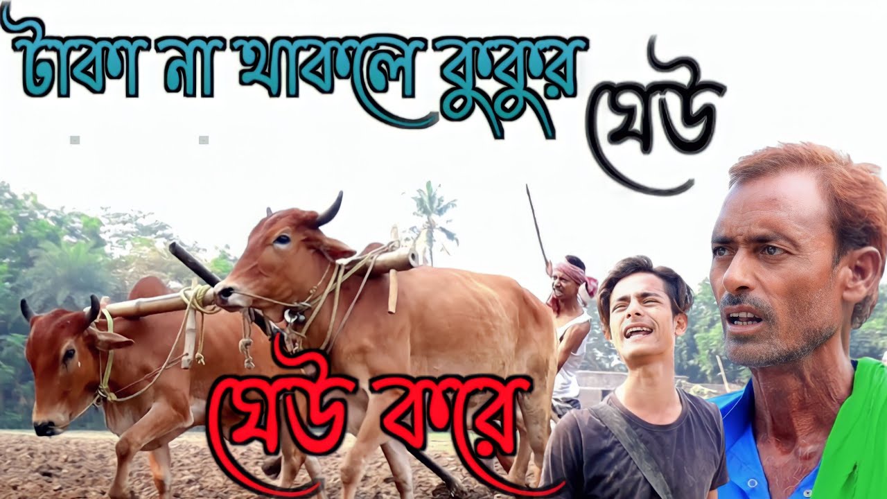 টাকা না থাকলে কুকুরে ঘেউ ঘেউ করে / বাংলা নতুন শিক্ষামূলক ভিডিও / মাইনুল সেখ
