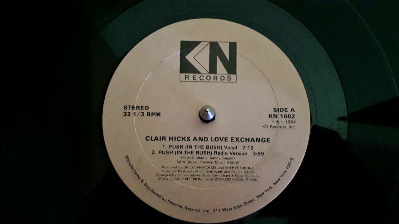 Clair Hicks And Love Exchange &lrm;&ndash; Push (In The Bush)