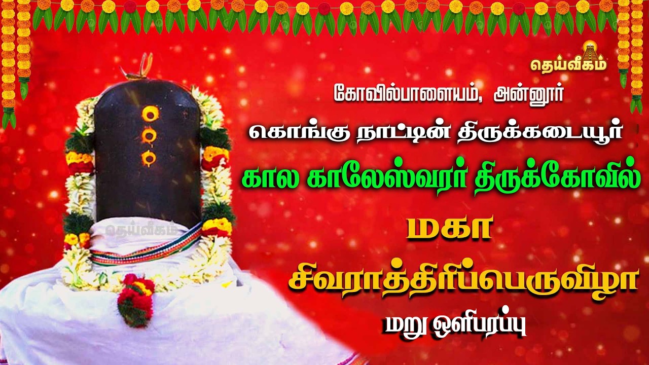 🔴LIVE: கொங்கு நாட்டின் திருக்கடையூர் கால காலேஸ்வரர் திருக்கோவில் மகா சிவராத்திரிப் பெருவிழா