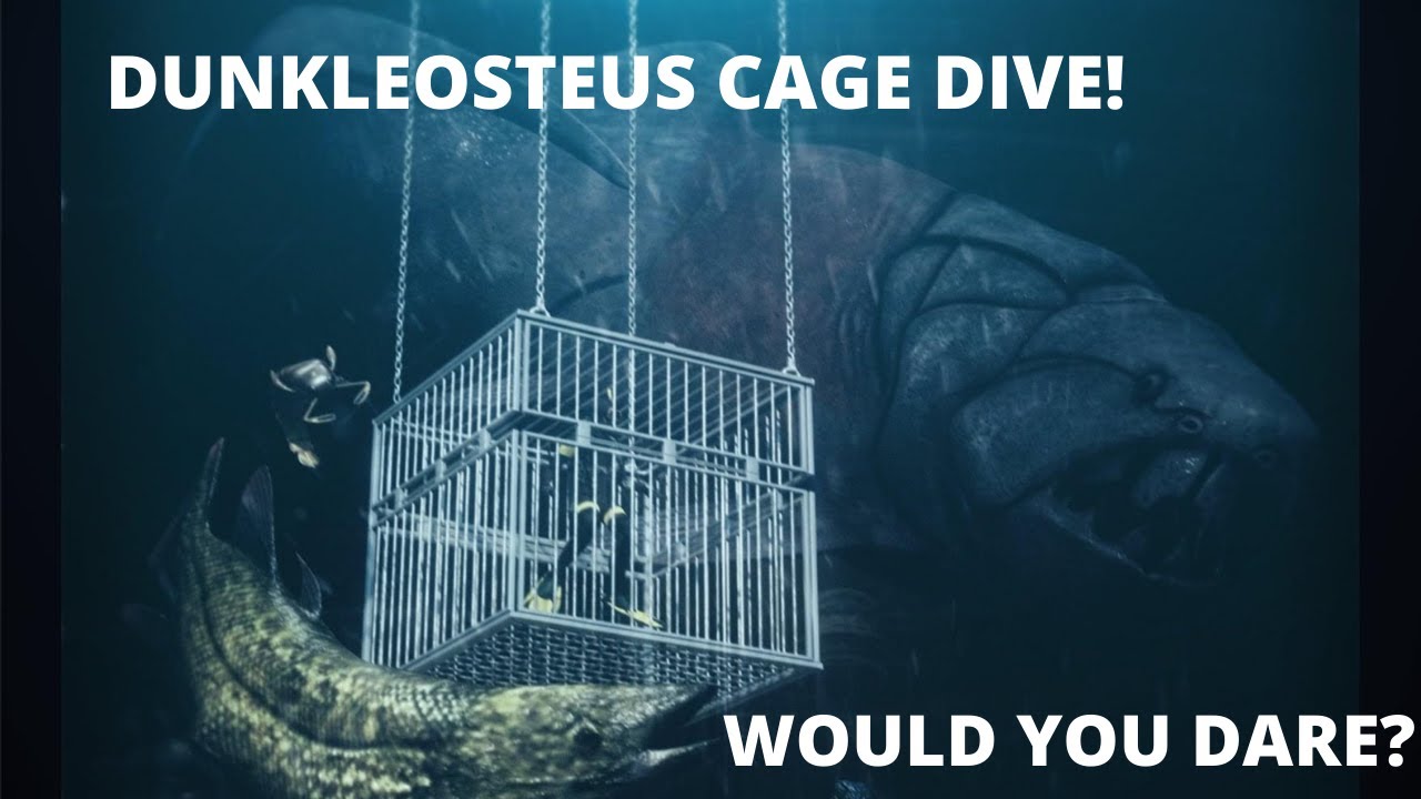 Dunkleosteus Cage Dive at Sea Monster Cove #prehistoric #theMeg #Dunkleosteus