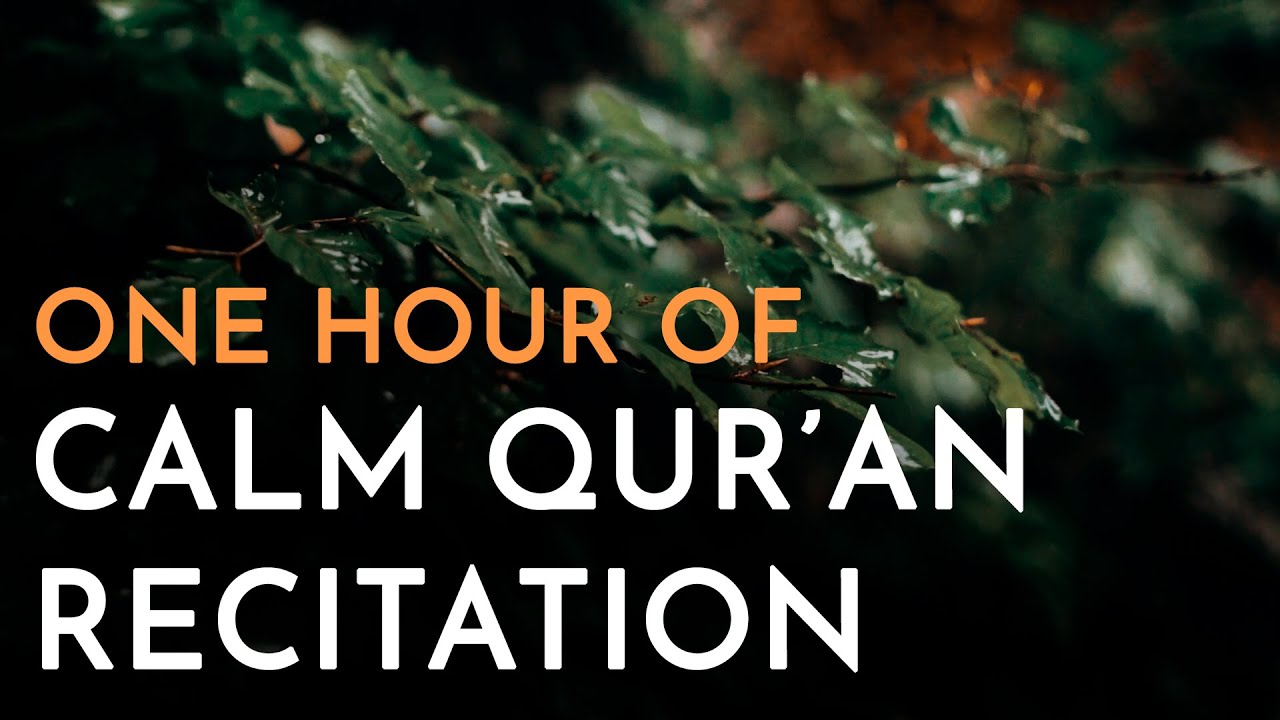 Calm Quran Recitation For Sleep | Al Fatiha | Ayat Al Kursi | Al Muawidhat
