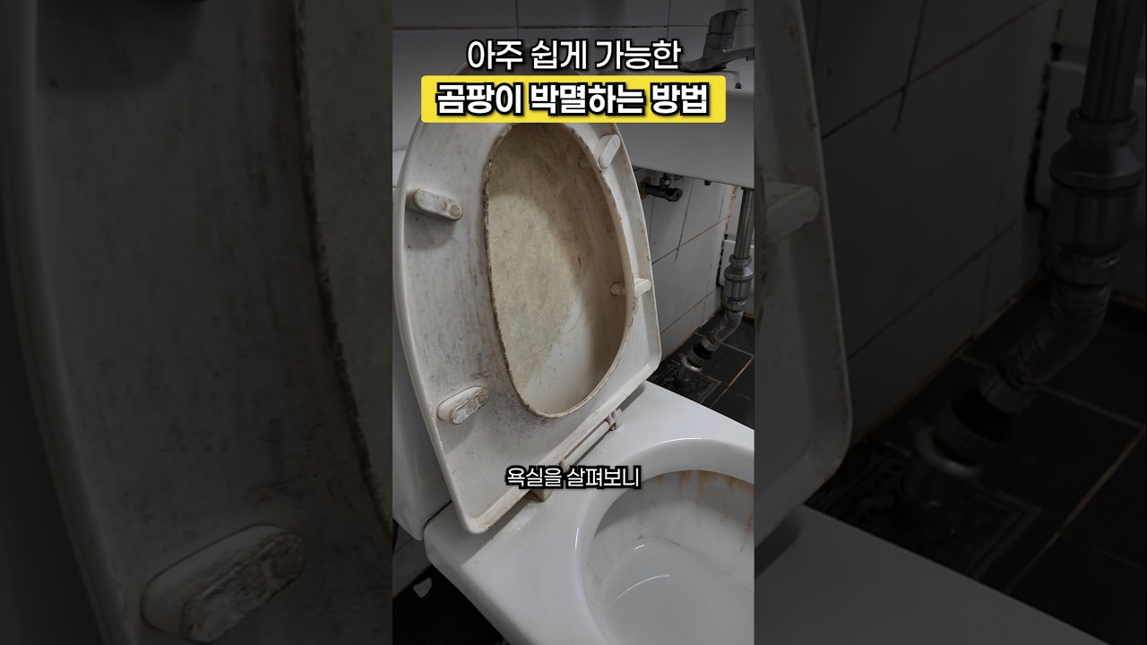 청소를 안 하고 산다면