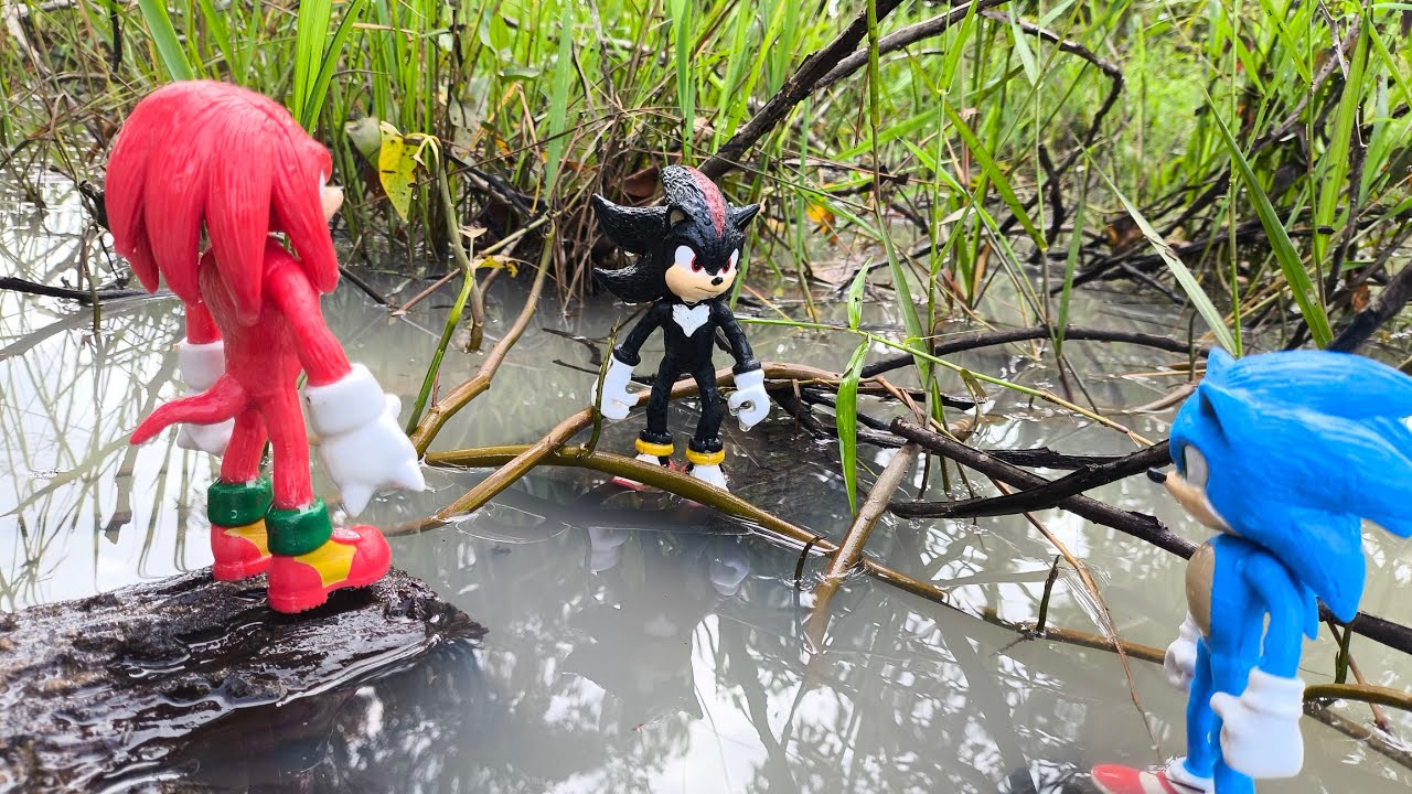 Sonic Hedgehog, Sonic Shadow, Knuckles, Tails, Metal Sonic, Super Sonic, Metal Sonic, Super Shadow