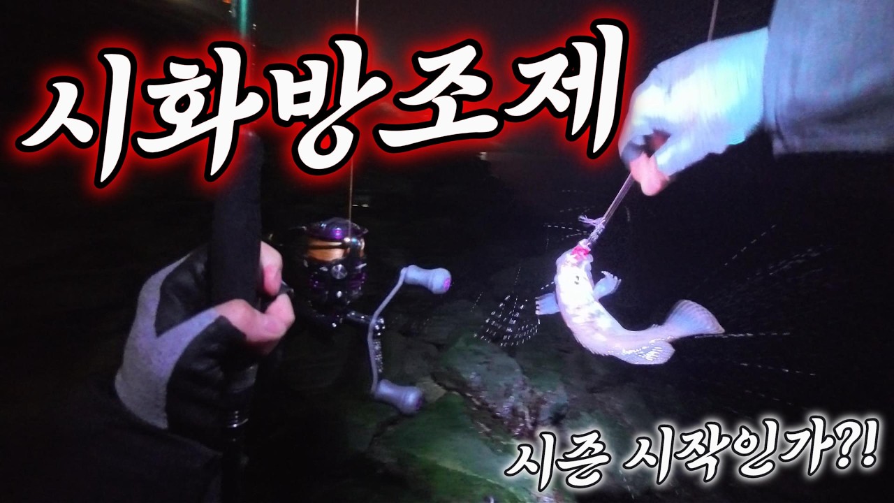 시화방조제낚시 시즌 시작인가?!