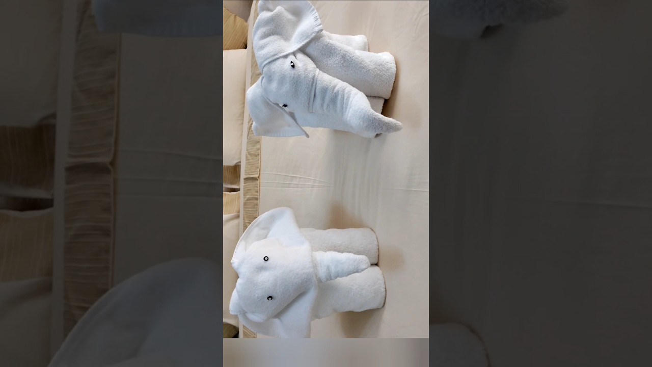 HOW TO MAKE TOWEL ELEPHANT