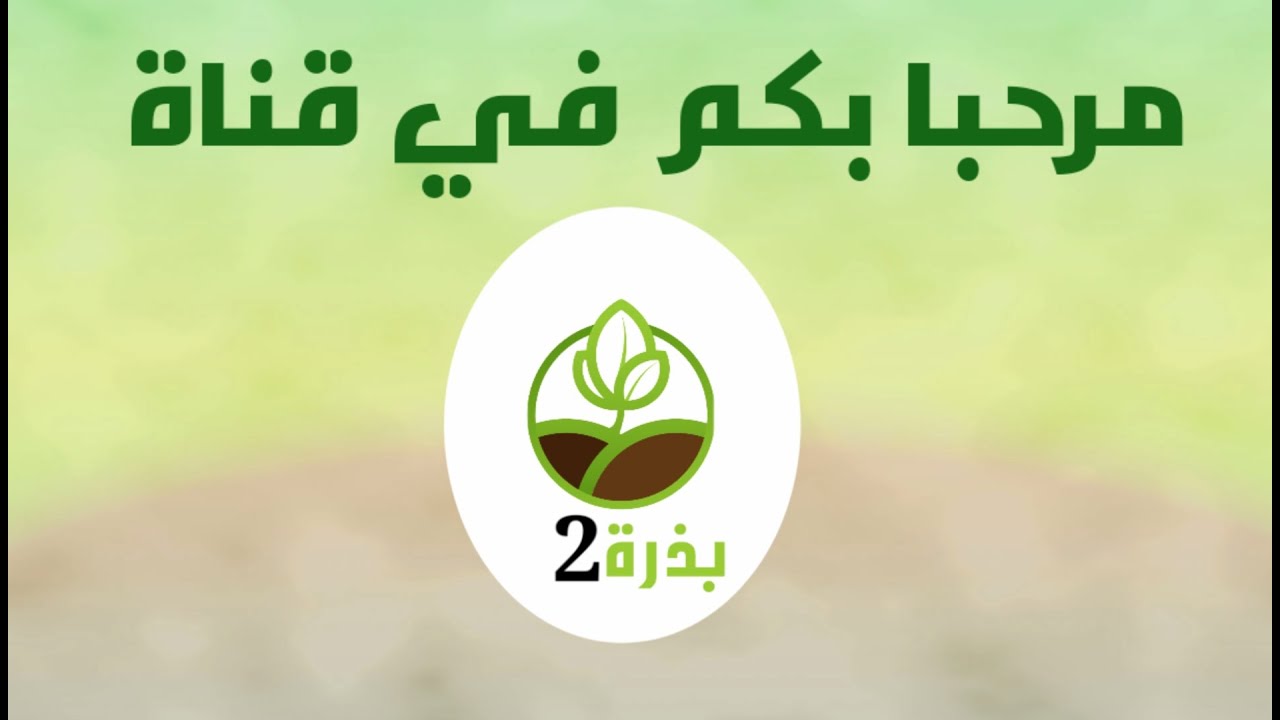 قناة بذرة 2 (فيديو تعريفي)