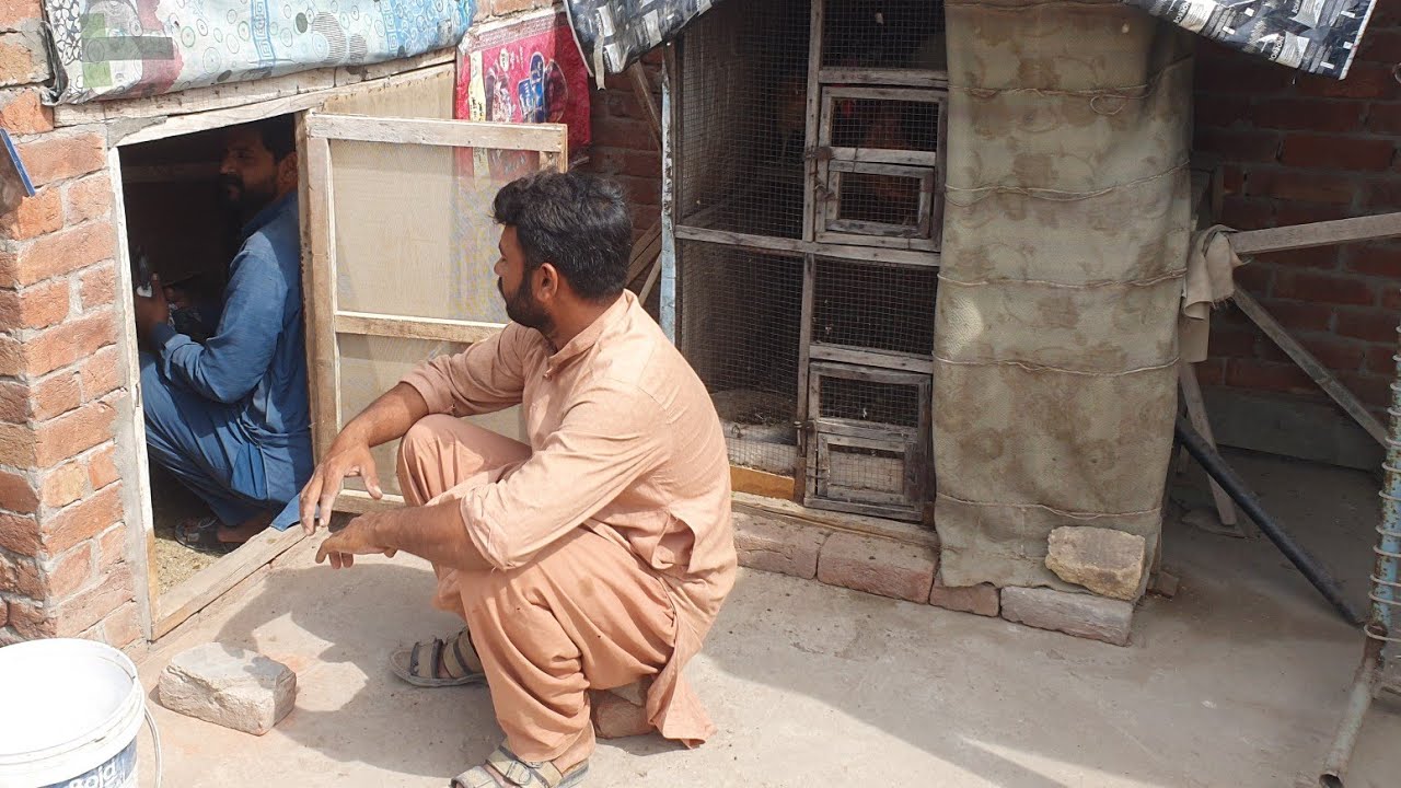 Makmal 5 joro ka setup shama waly labotar