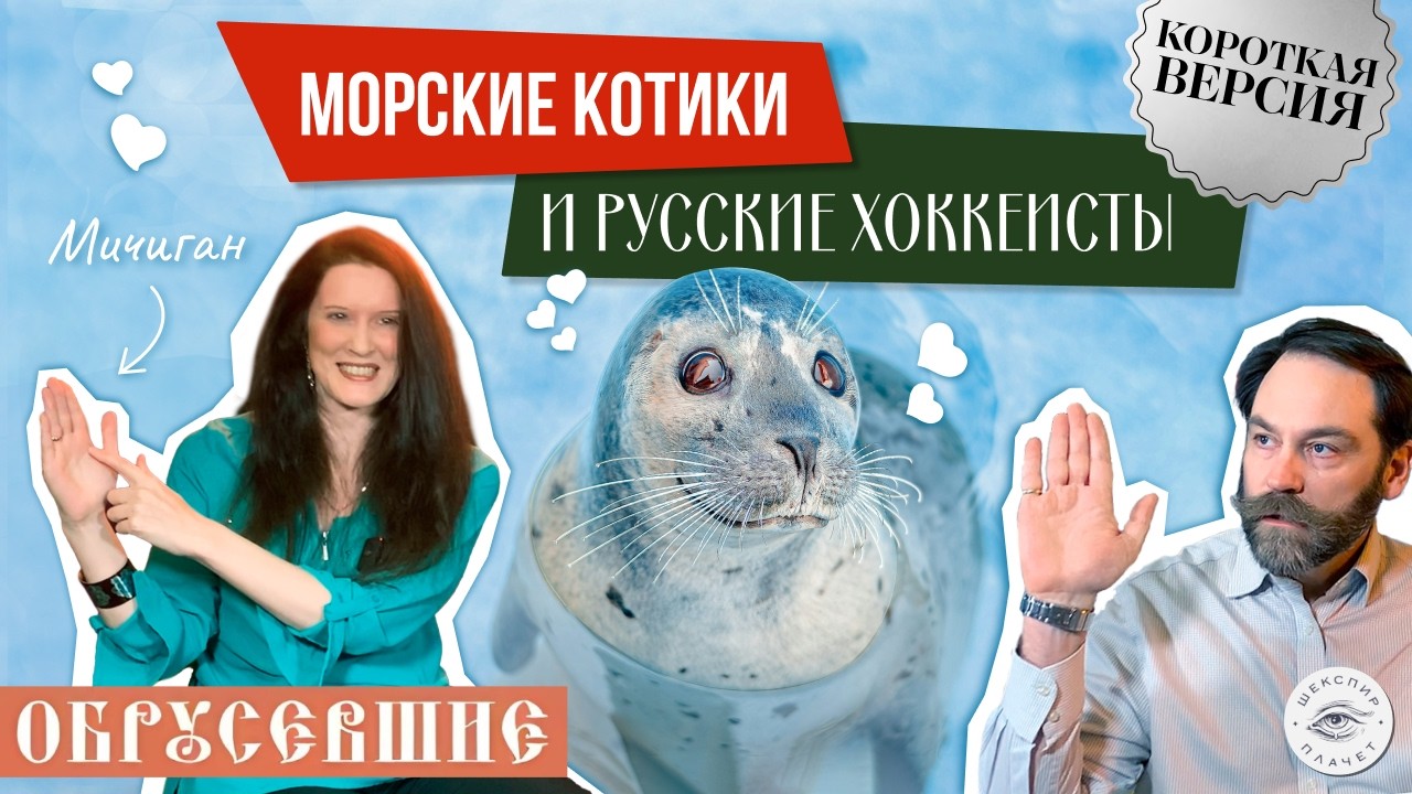 Как американка влюбилась в Россию.