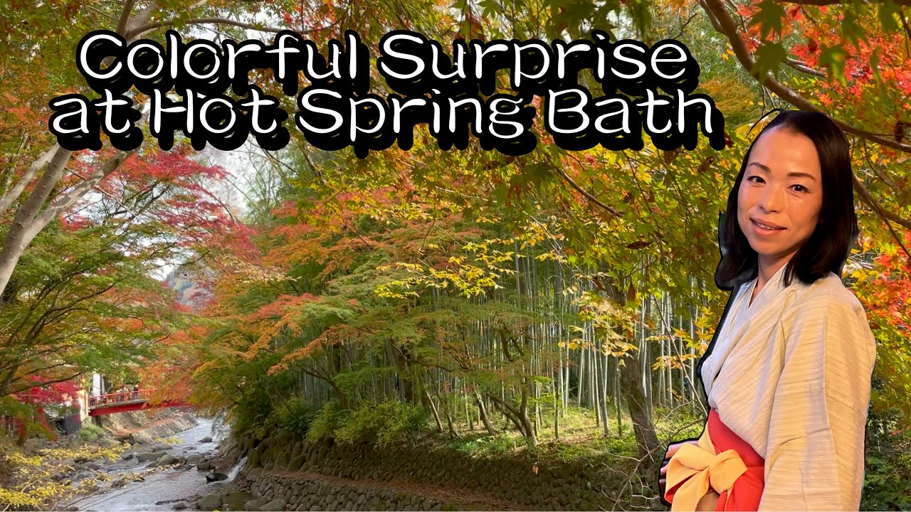 ♨️You’ll Be Shocked by Visitors to This Hot Spring Bath: Arai Ryokan, Shuzenji, Japan