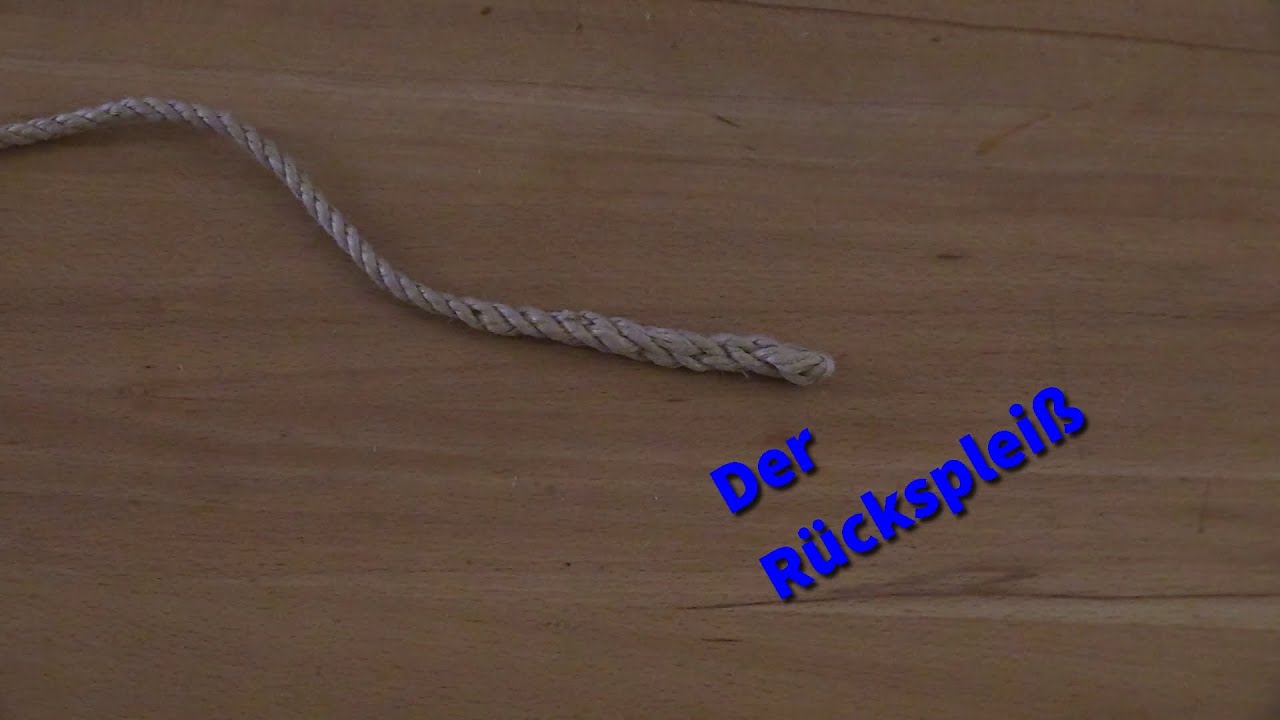 Der Rückspleiß