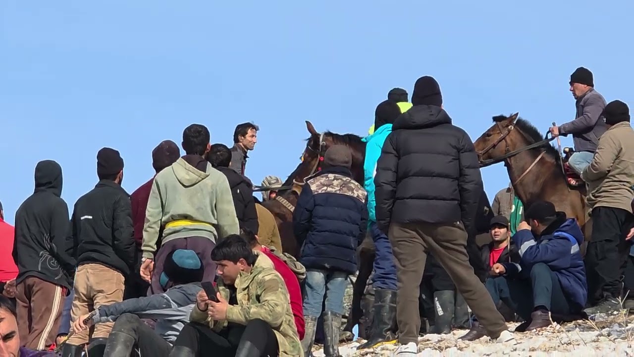 Пойгаи асп давони  Д Узнохур н балҷувон 