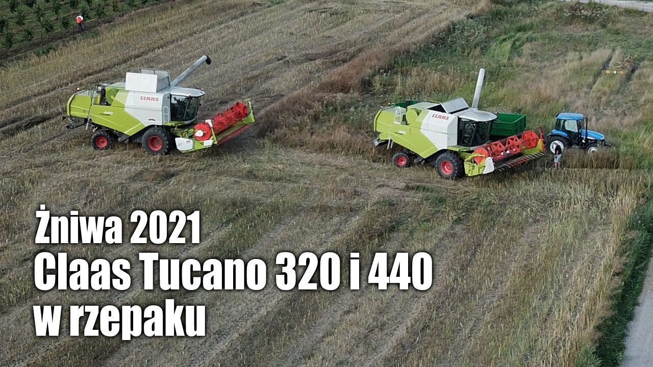 Żniwa 2021 - Claas Tucano 320 i 440 w rzepaku (trochę się kurzy)