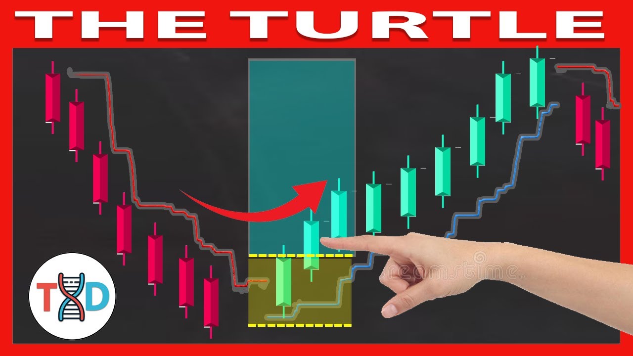 🔴  **FULL COURSE FOR BEGINNERS** The 
