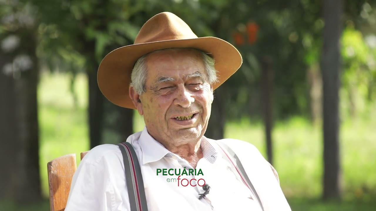PECUÁRIA EM FOCO - LEILÃO MATRIZES NELORE MOCHO FAZ. CAMPARINO 2021
